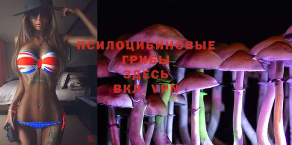 мет Алексин