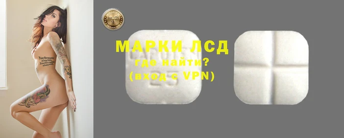 ПСИЛОЦИБИНОВЫЕ ГРИБЫ Алексеевка