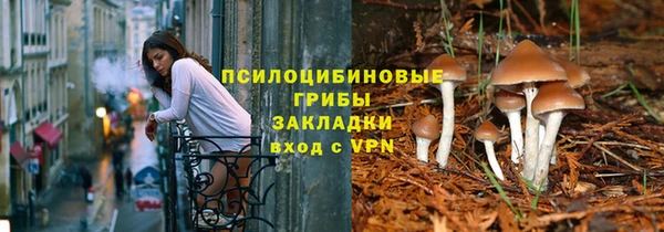 мет Алексин