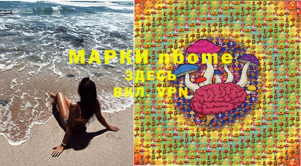 мет Алексин