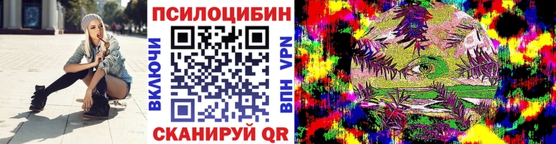 Псилоцибиновые грибы Psilocybe  площадка телеграм  Ветлуга 